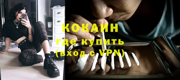 гидра Богородицк