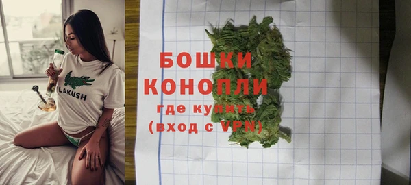 гидра Богородицк
