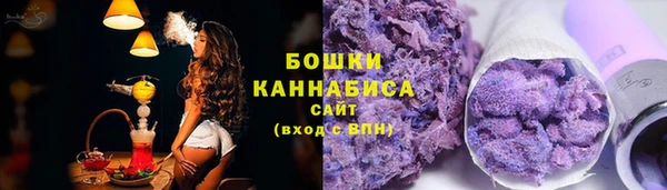 спиды Богданович