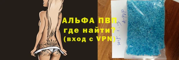гидра Богородицк