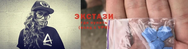 гидра Богородицк