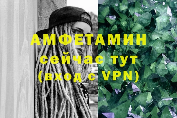 гидра Богородицк