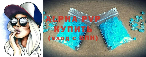 гидра Богородицк