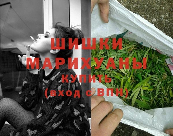 спиды Богородск