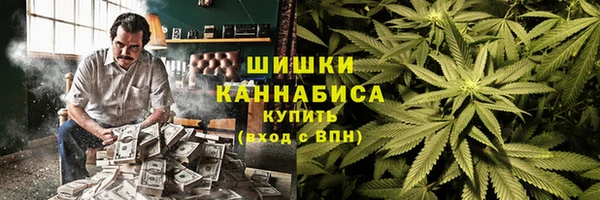 спиды Богородск