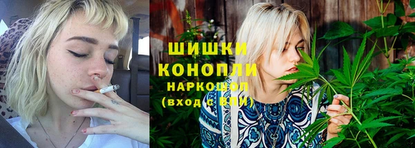 спиды Богданович