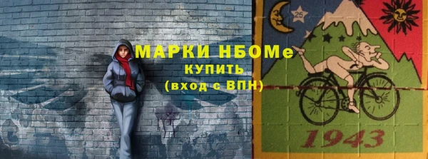 гидра Богородицк