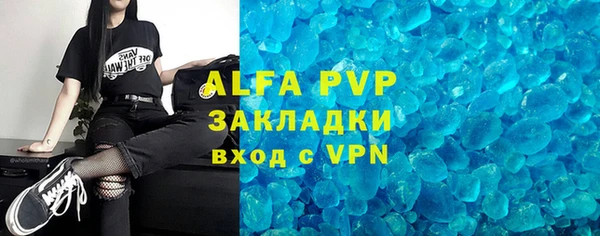 спиды Богданович