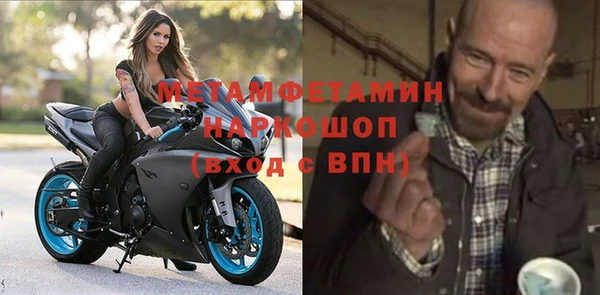гидра Богородицк