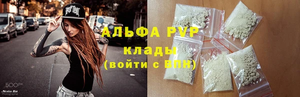 спиды Богородск